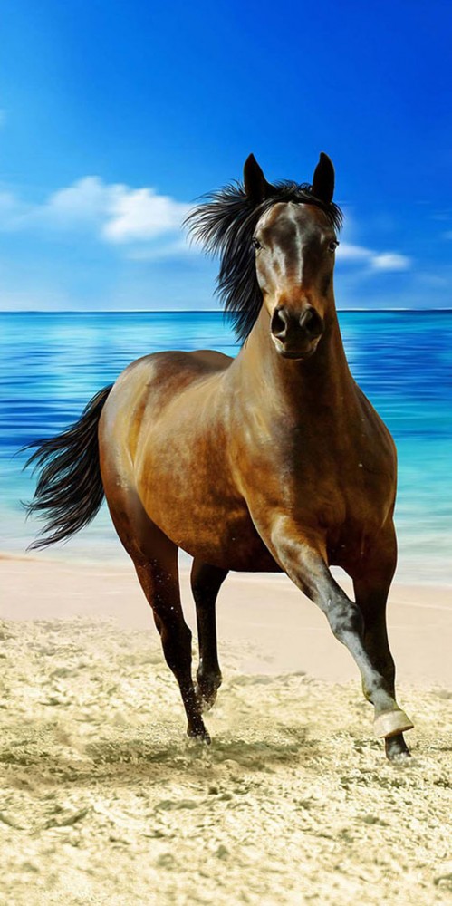 Lovas Beach fürdőlepedő, strand törölköző 70x140cm